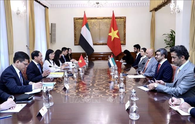 Vietnam, UAE examine ways to further improve cooperation efficiency
